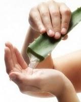 LOS ALIADOS NATURALES DE NUESTRA BELLEZA