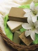 LOS ALIADOS NATURALES DE NUESTRA BELLEZA