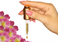 LOS ALIADOS NATURALES DE NUESTRA BELLEZA