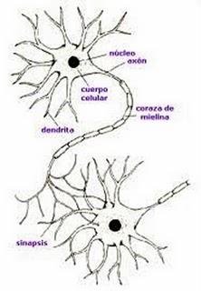 Parafraseando (un poco más)