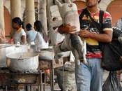 Retratos Mentiras, Colombia 2010