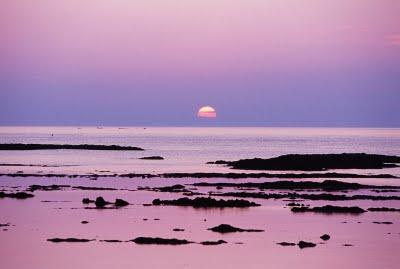 Todo en el Universo está interrelacionado y la acción div...