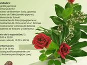 Exposición especial Ikebana Suiseki Solidaridad Japón