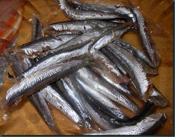 boquerones fritos, crudos (1)