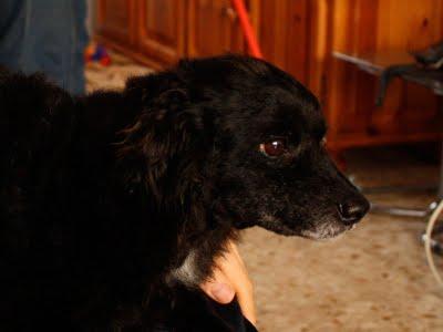 URGENTE EN CASTELLÓN‏.