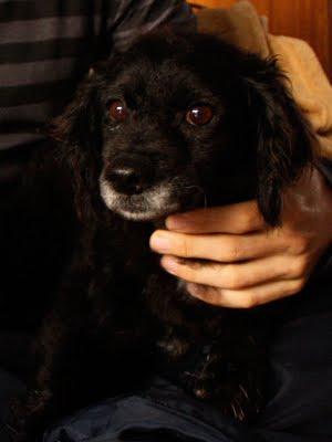 URGENTE EN CASTELLÓN‏.