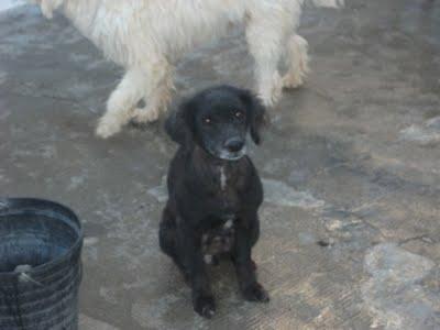 URGENTE EN CASTELLÓN‏.