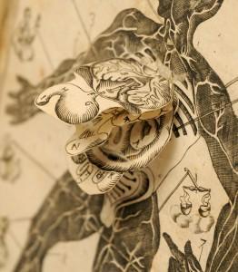 Libros mágicos de Anatomía