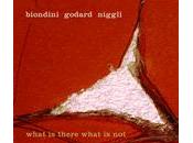 Biondini Goddard Niggli: What There (Intakt, 2011)