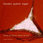 Biondini Goddard Niggli: What Is There What Is Not (Intakt, 2011)