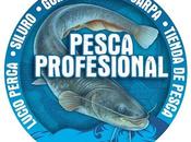 Video pesca siluros ebro