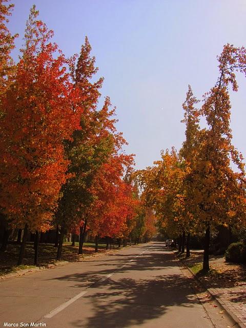 Les couleurs d'automne
