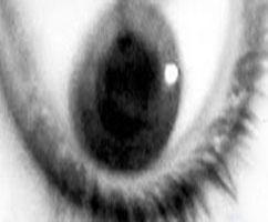 Meditando el cierre Meditando el cierre