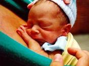 Ventajas padre canguro