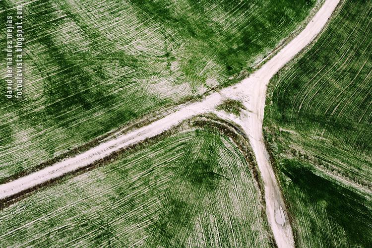 Fotografía realizada desde el aire en vuelo con ultraligero de campos trillados en la zona noroeste de Madrid