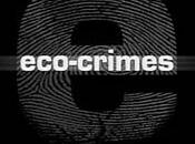 Eco-Crímenes