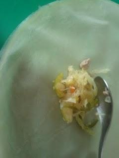 ROLLITOS DE PRIMAVERA