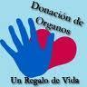 Día Nacional de la Donación de Órganos