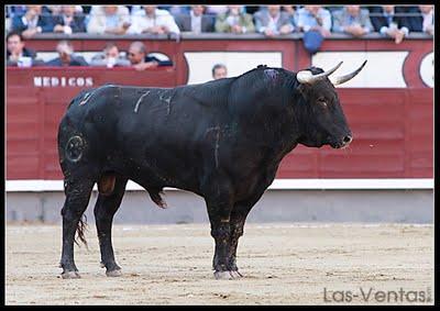 Apuntes sobre Madrid