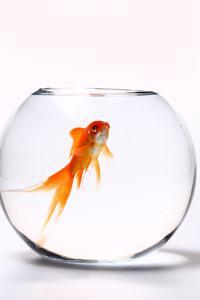 Lo mejor de la semana (16-20 de mayo)