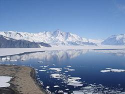 Lago Orgánico Antártico