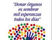 Nueva para Donación Órganos Venezuela