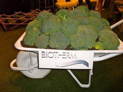 Lo que ocurrió en la BEAUTY PARTY