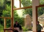 Arquitectura, clima salud, cómo afectan edificios habitamos