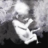 La ruta natural (C) (2004)