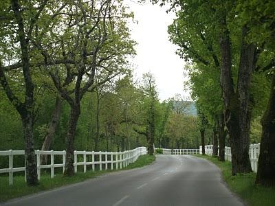 La región del Karst