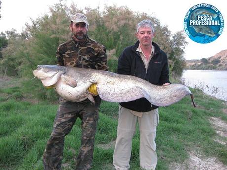 PESCADORES INTERNACIONALES