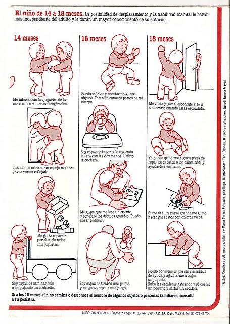 EL NIÑO DE 0 A 18 MESES