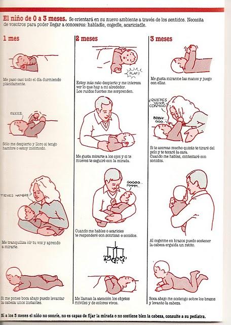 EL NIÑO DE 0 A 18 MESES