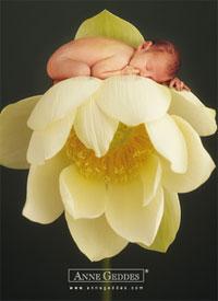 Un pequeño-gran avance en la rutina del sueño