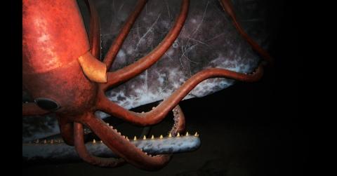 Imágenes de New York