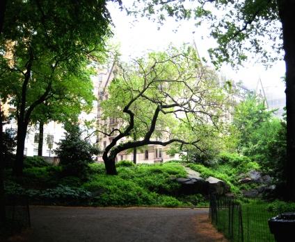 Imágenes de New York