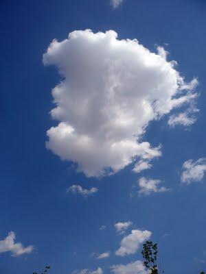 De paseo por Madrid Río