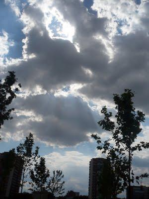 De paseo por Madrid Río