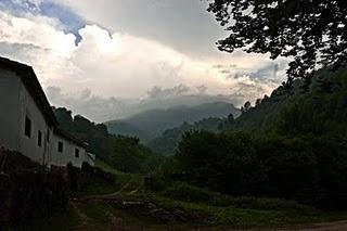 El Carácter de un bosque