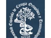 Becas Fundacion Secot España 2011