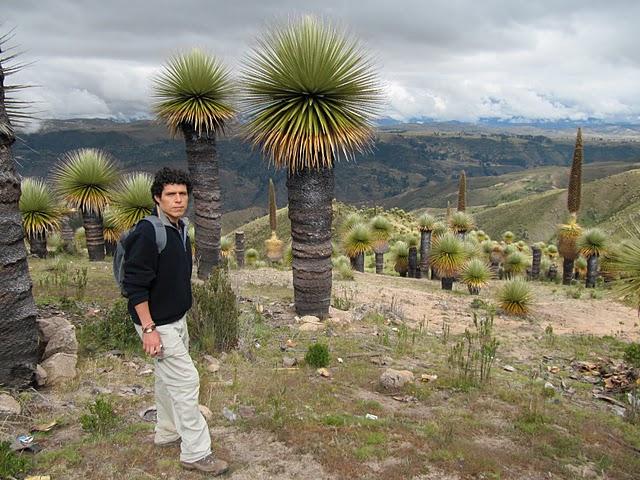 RUMBO AL BOSQUE DE PUYAS DE VISCHONGO