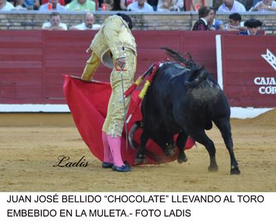 NOVILLADA SIN CABALLOS EN CÓRDOBA 23-5-2011