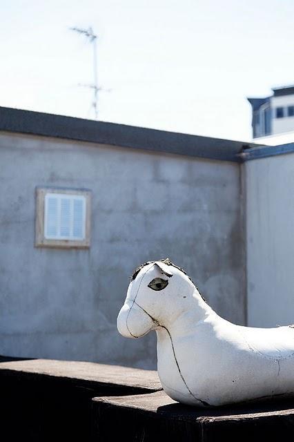 Una Casa en Nueva Zelanda