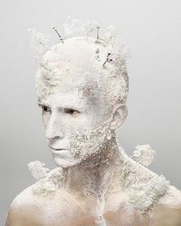 El mundo de madera de Levi van Veluw