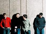 Mirador 2011 completa cartel