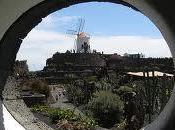 Jardín Cactus Lanzarote