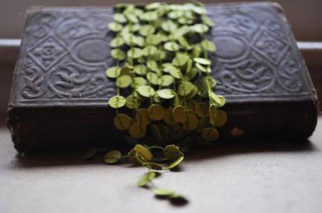 Linea_Paper_Garland_5 hoy nos gustan… we love…