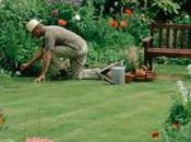 Diseño jardines pequeños