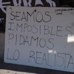 fotos blog 392 (4) EL LABERINTO DE LA AUSENCIA (18): FLORES EN EL DESIERTO.