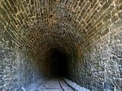 Imágenes valen palabras